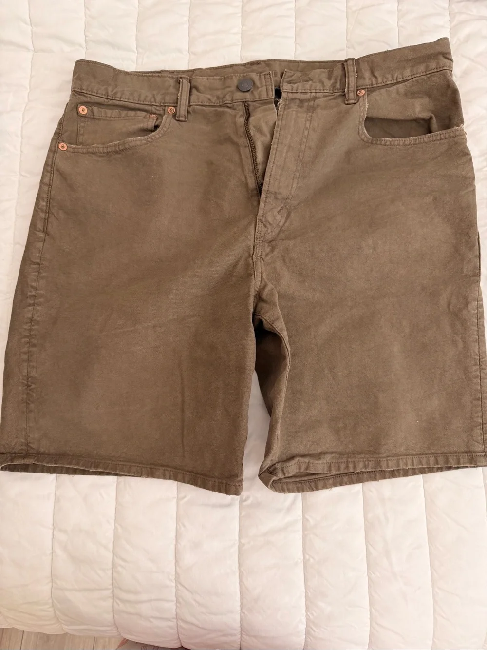 American Eagle Outfitters Men's Chinos in Olive Brown